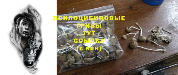 бутират Гусь-Хрустальный