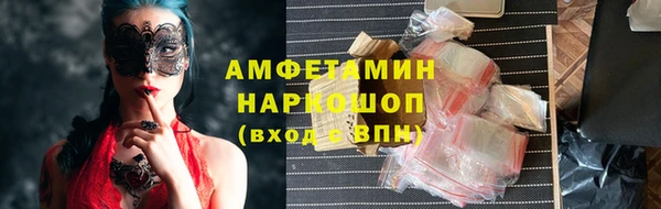 стаф Гусев