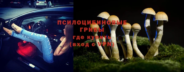 бутират Гусь-Хрустальный