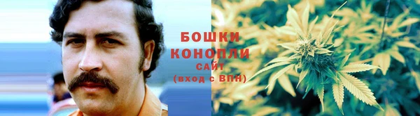 стаф Гусев