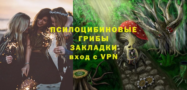 mdpv Гусиноозёрск