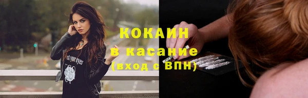 стаф Гусев