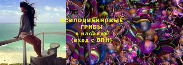 стаф Гусев