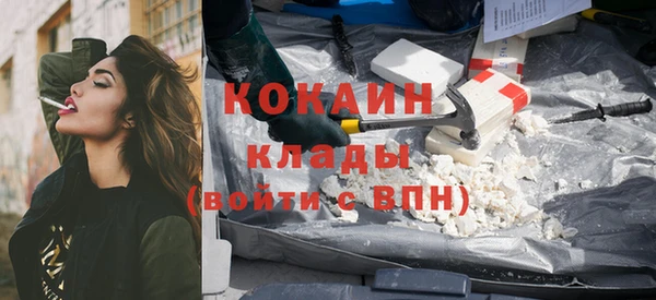 стаф Гусев