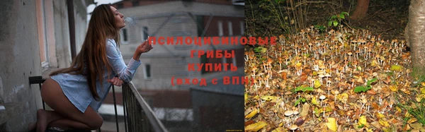 стаф Гусев