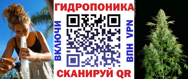 купить цена Новая Ладога Конопля план